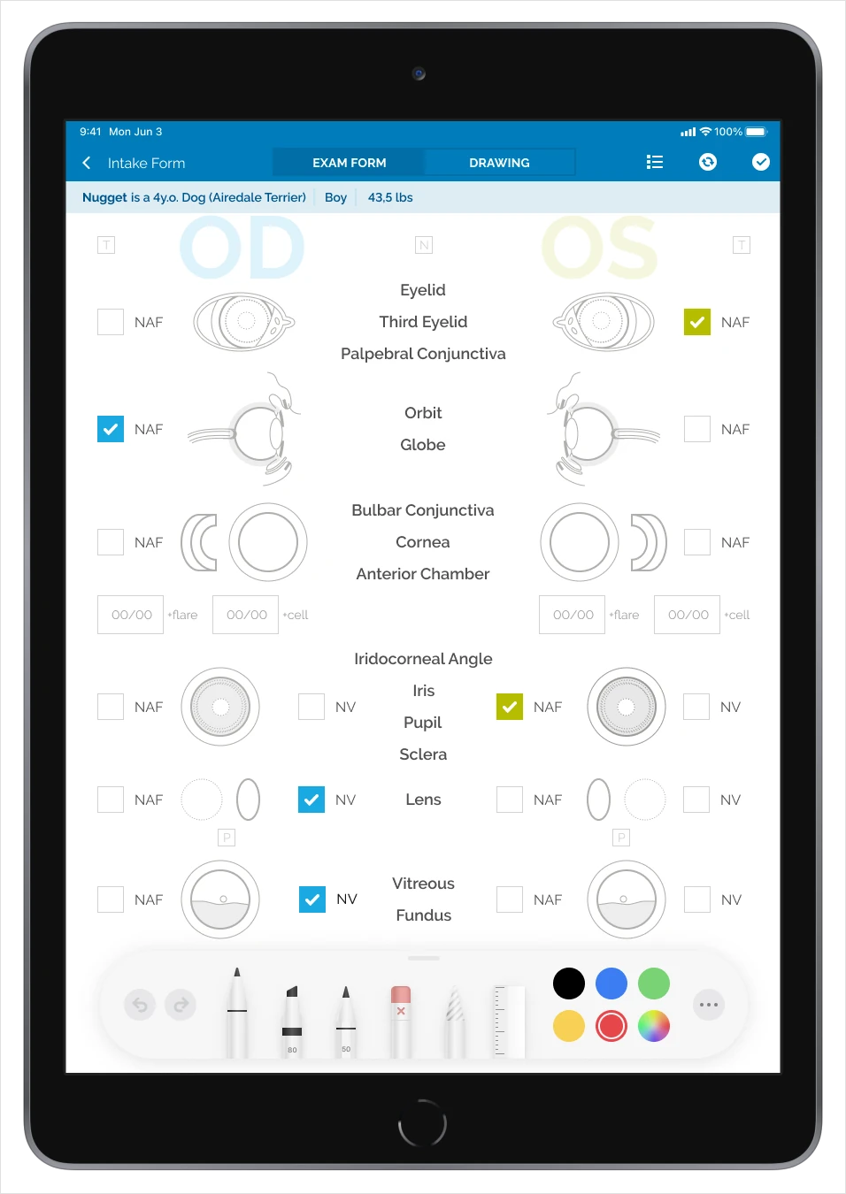 Paper examination workflow adapted for iPadOS