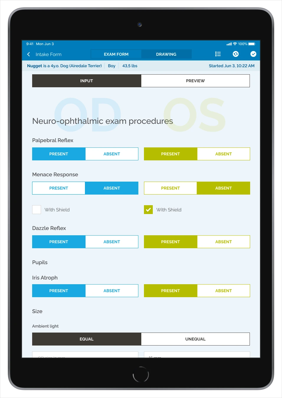 Synchronized digital and PDF examination forms