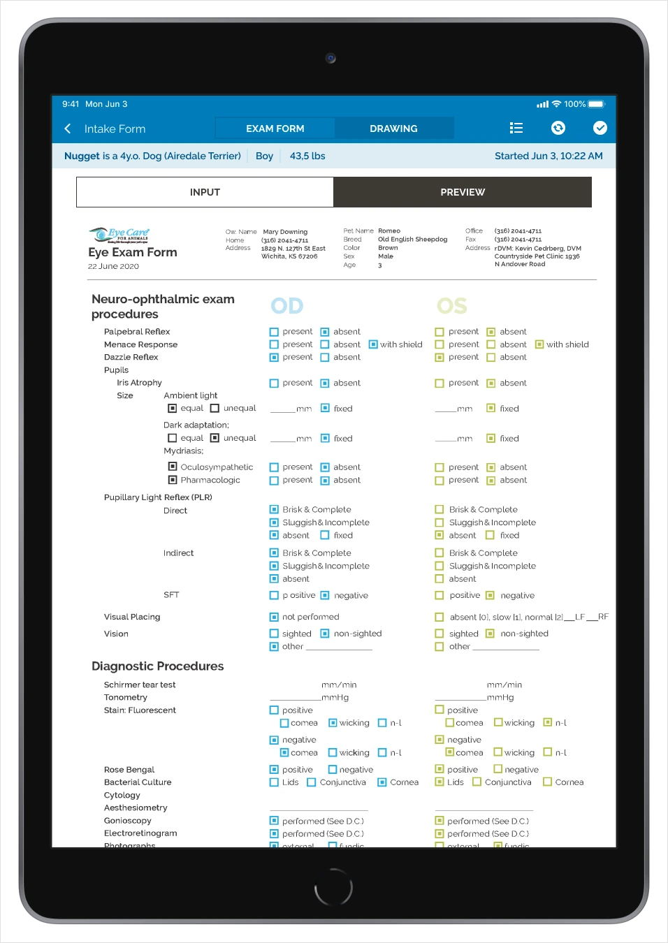Wink Eye Care interface for examination records