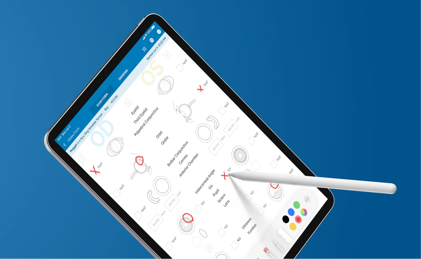 Tablet app for veterinary ophthalmologists