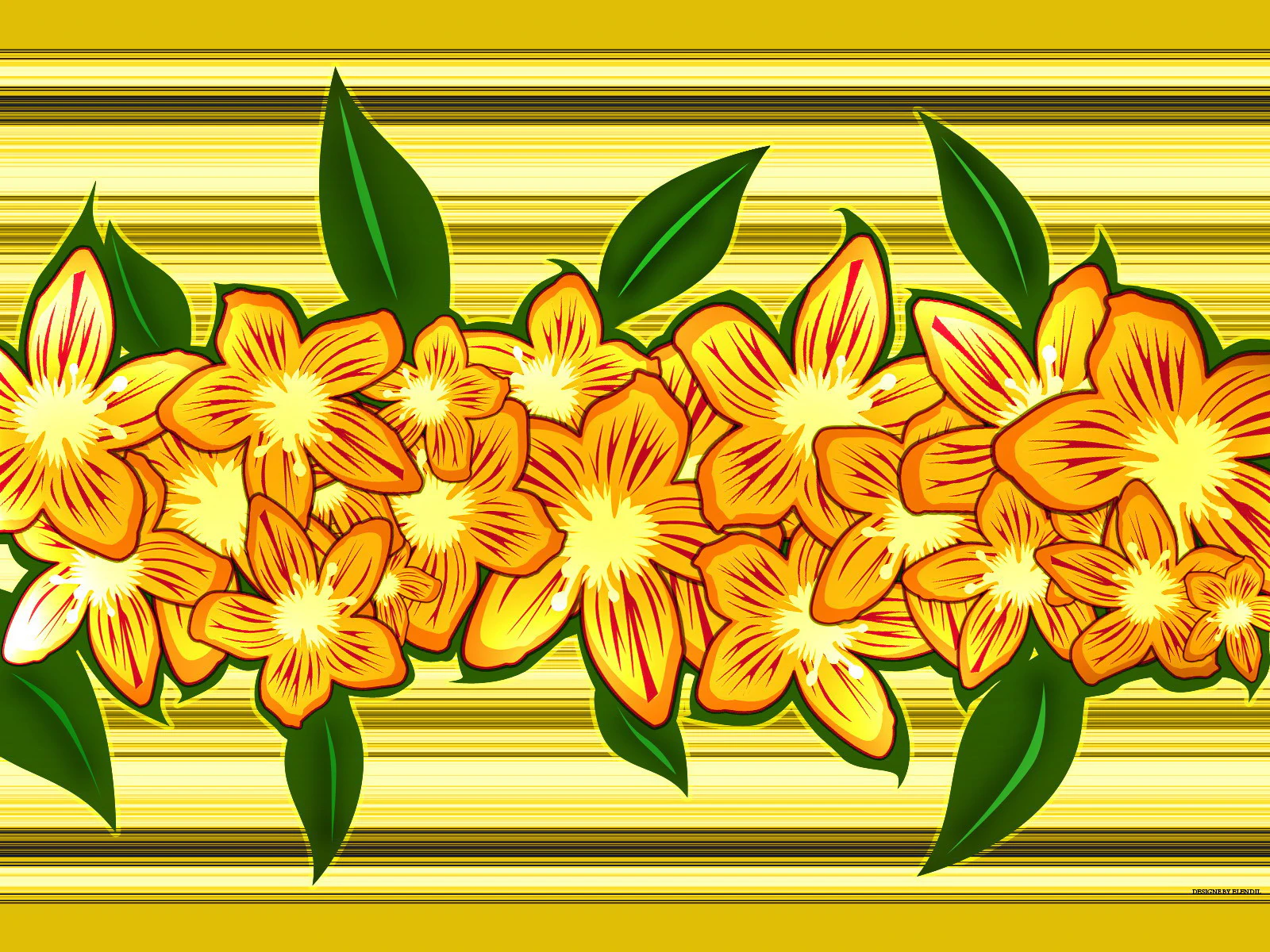 Graphic Design experiment 13
